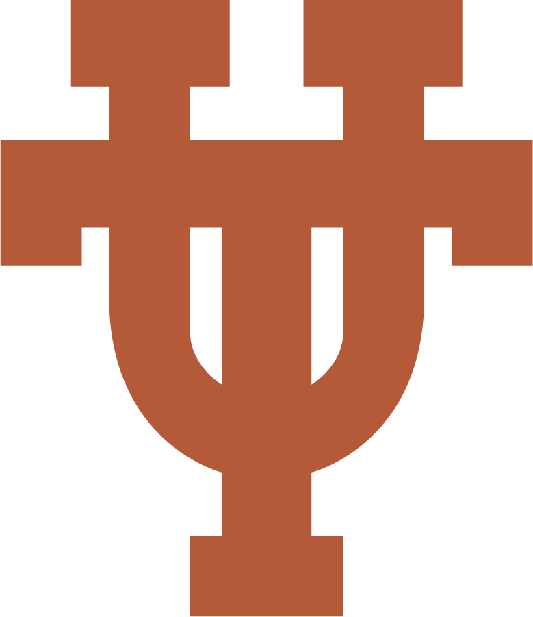 Texas Longhorns 2019-Pres Alternate Logo iron on transfers for T-shirts